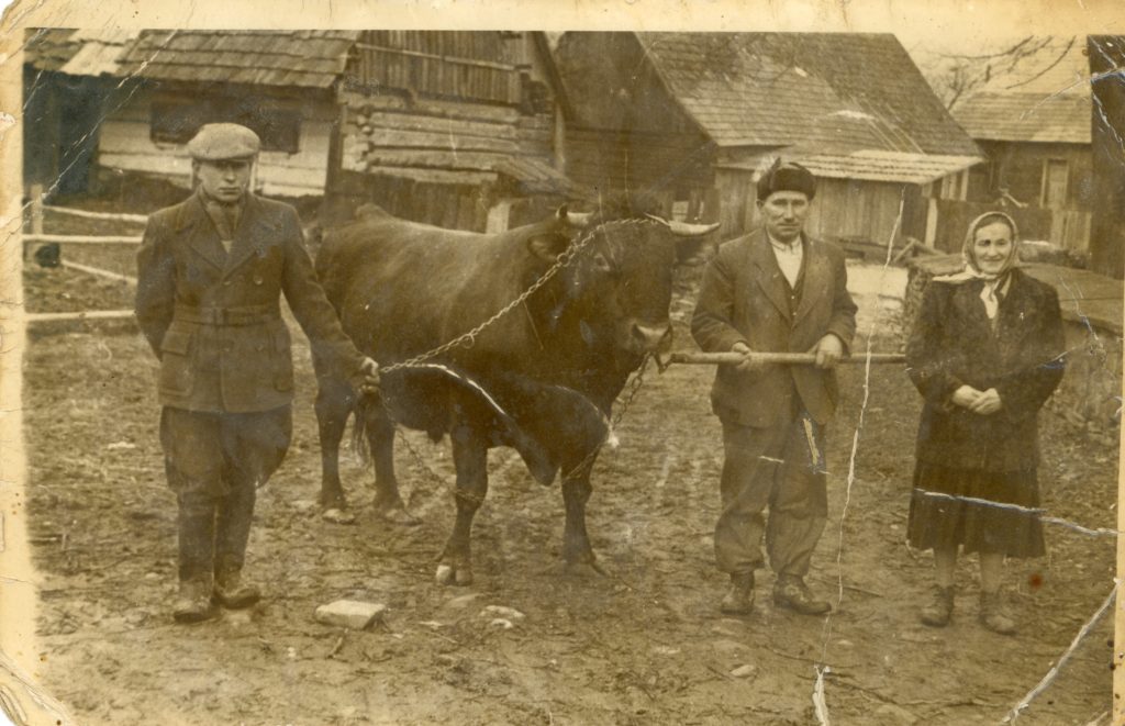 Uwłaszczenie Chłopów W Zaborze Austriackim Nowica w zaborze austriackim – Archiwum Nowica-Przysłup